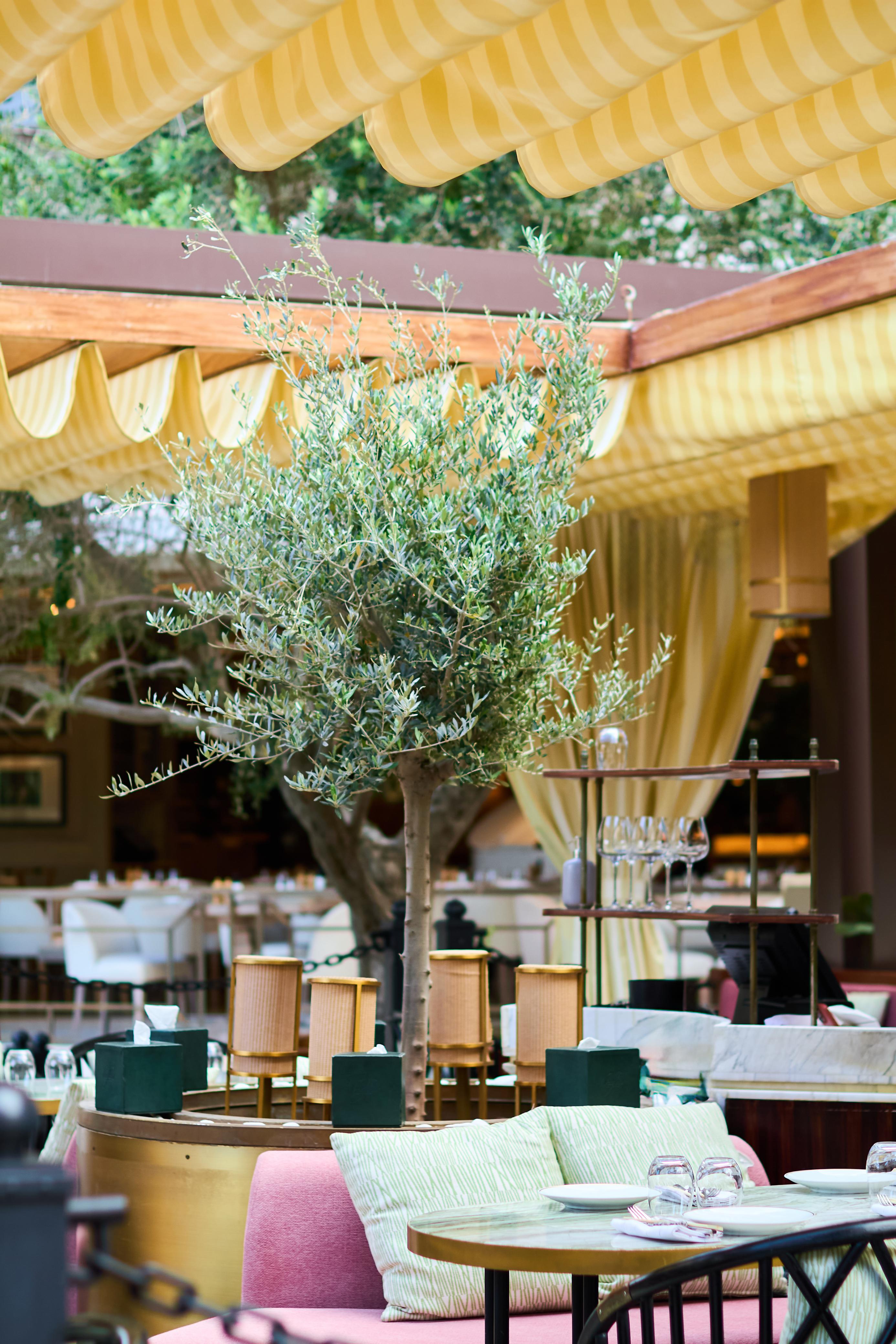 لو برانش باي بيف بار