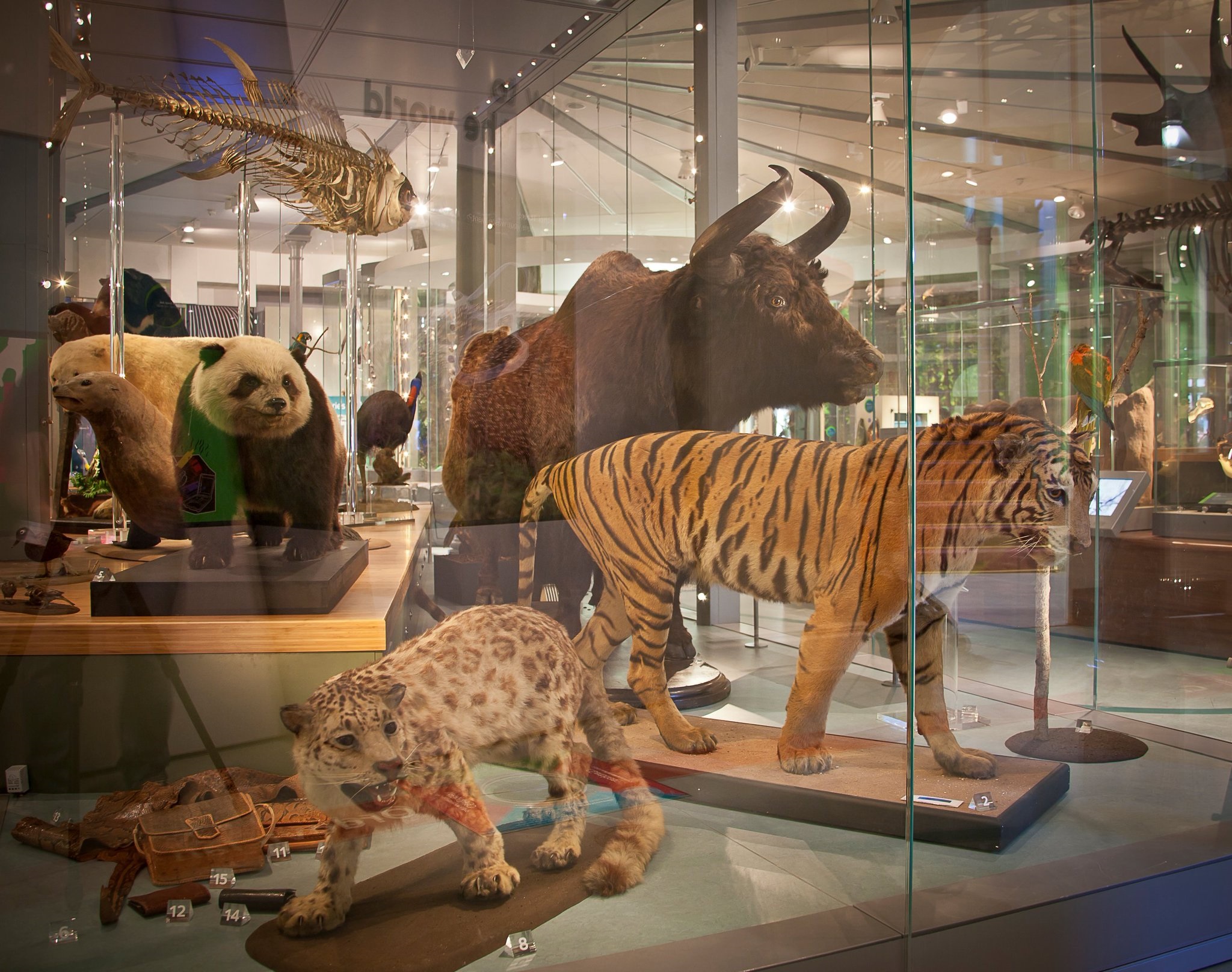 متحف مدينة ليدز Leeds City Museum