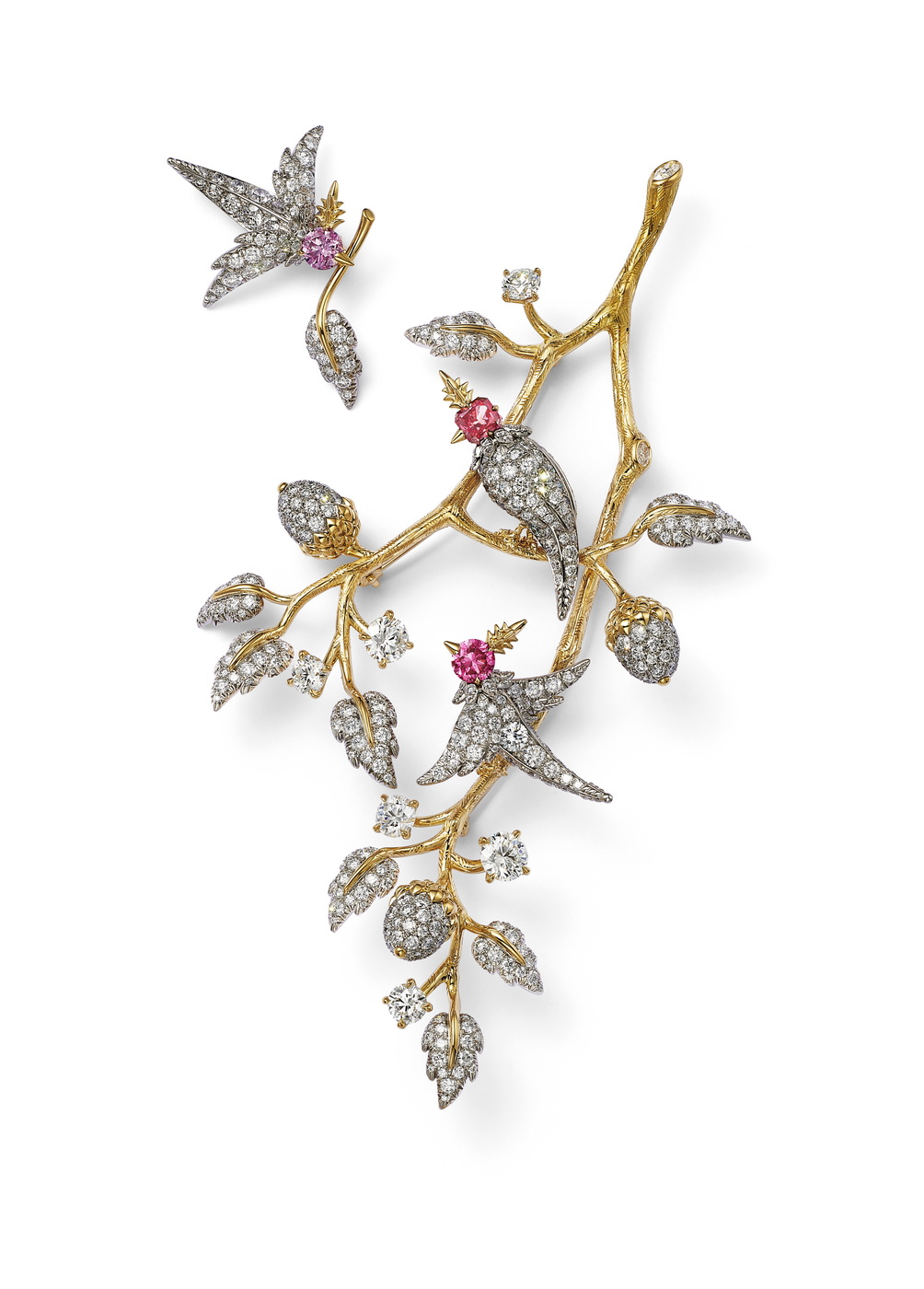 Legendary Bird The Argyle Edition