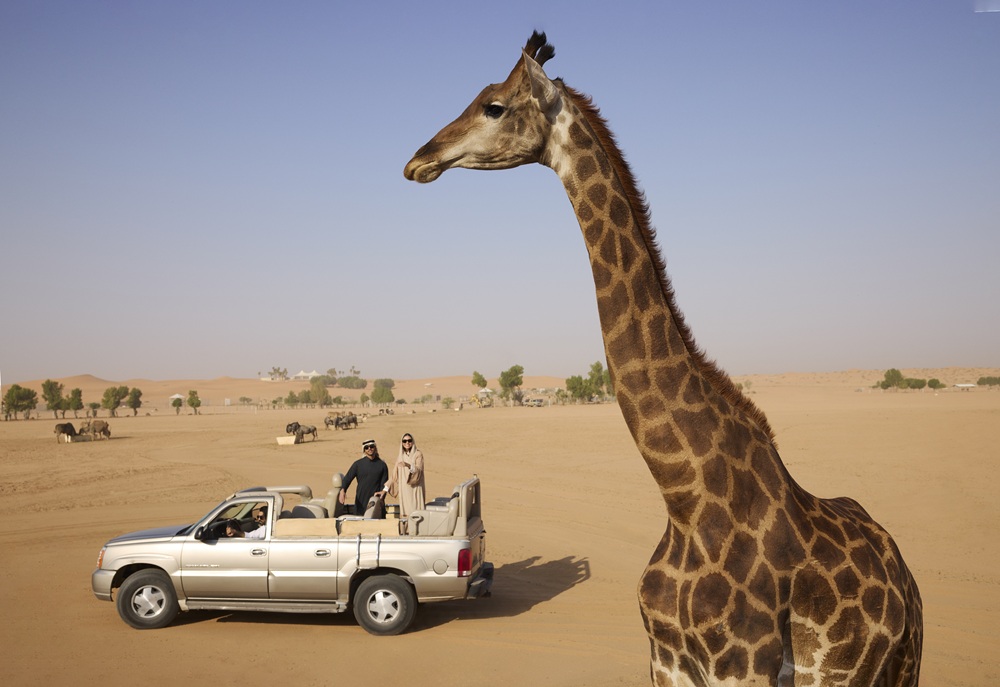 أساليب جديدة لاكتشاف الرياض مع تجارب الإقامة المحلية المميّزة من راديسون كوليكشن