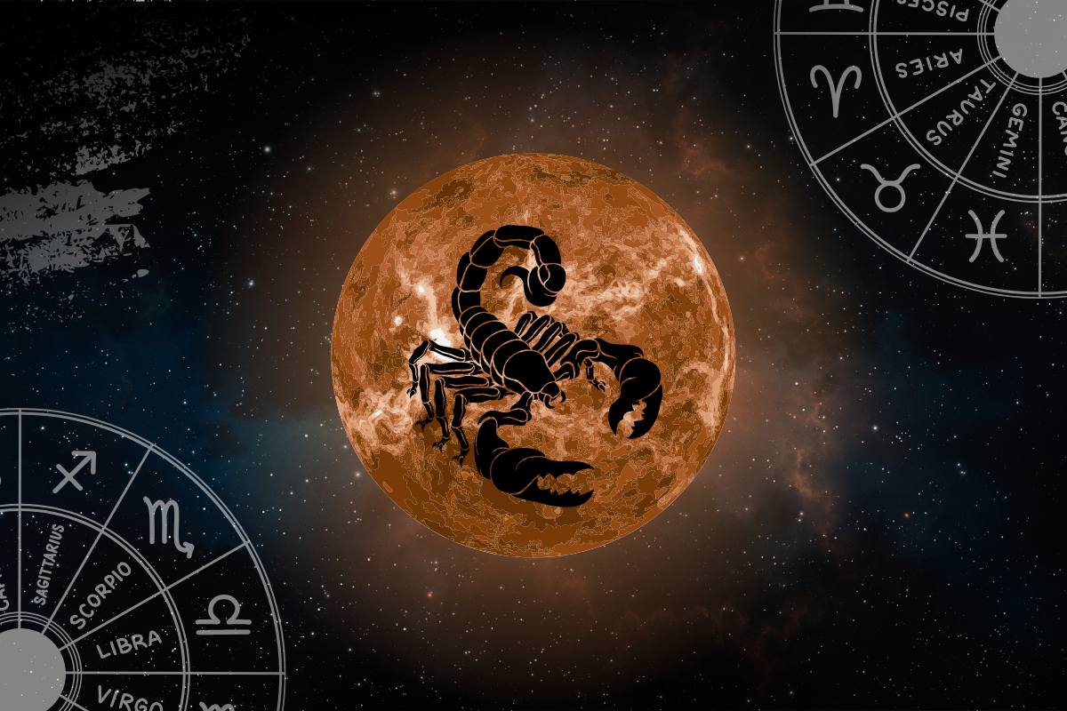 موسم العقرب: "الموت والولادة" في حياة الأبراج.. أسرار يكشفها الفلك