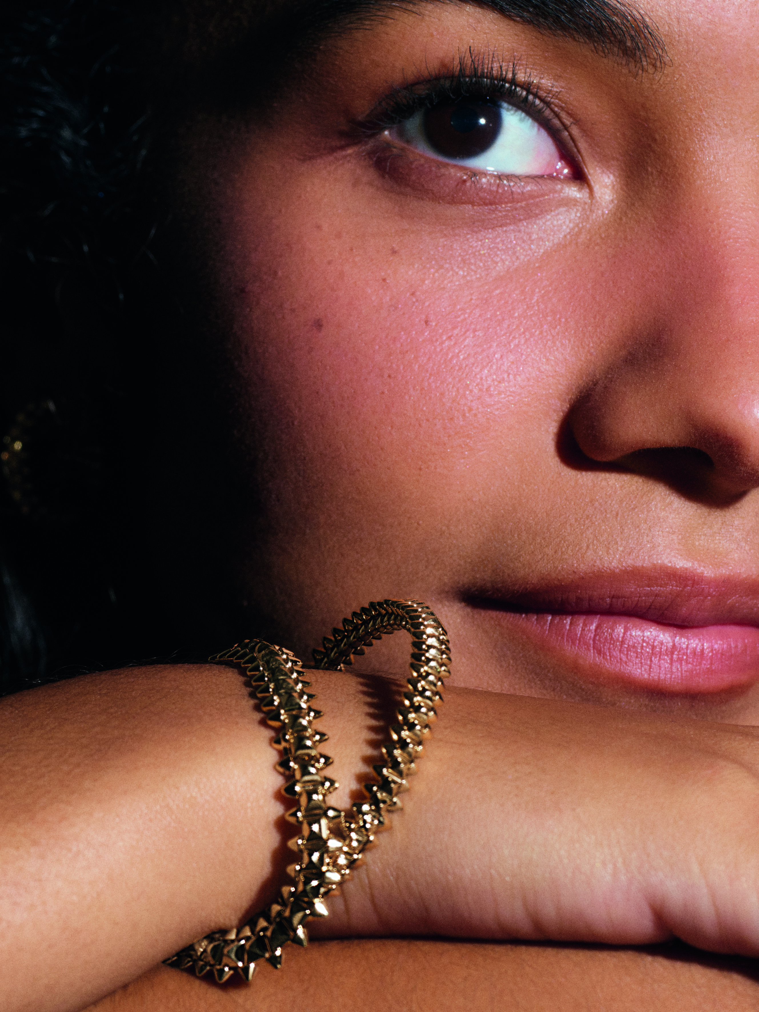 مجموعة “كلاش دو كارتييه” الفاخرة