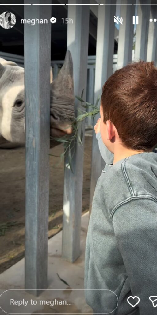 استعادة الذكريات: من المطبخ إلى رقصات الحديقة