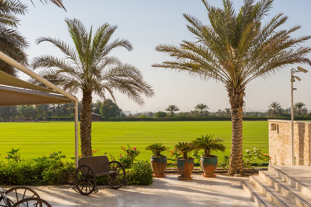 ميليا ديزرت بالم دبي