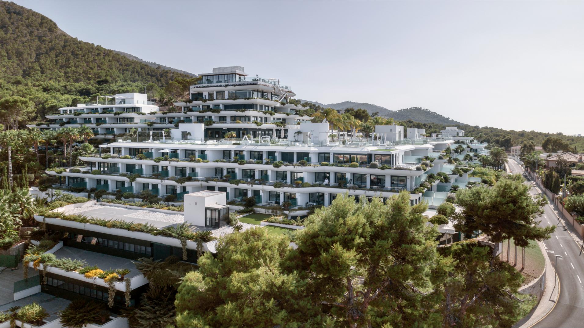  SHA Spain " شا إسبانيا "