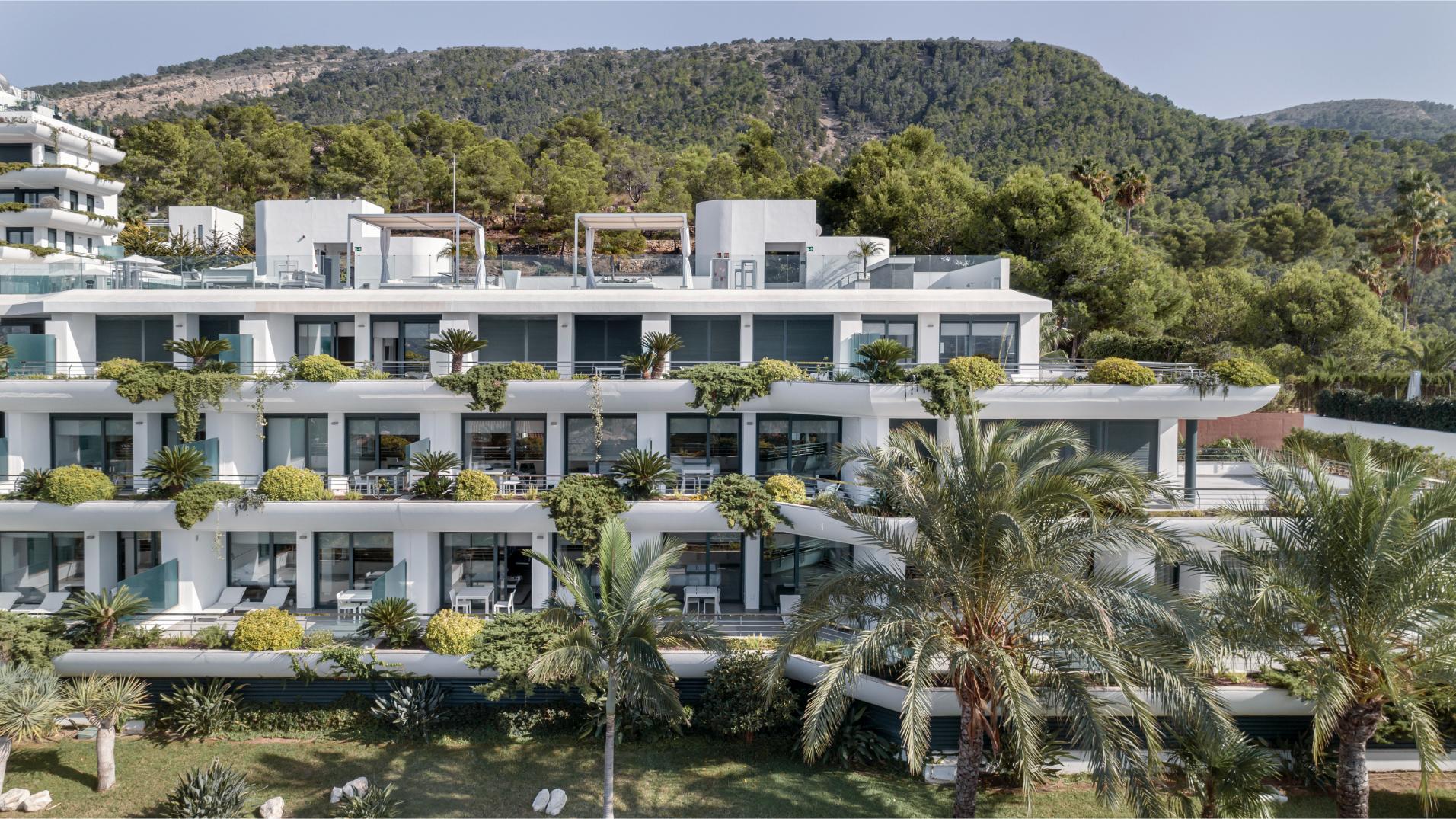  SHA Spain " شا إسبانيا "