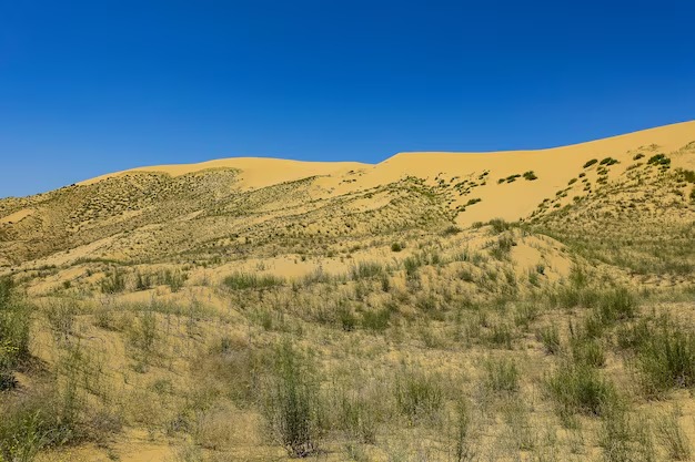 Sarykum Dune