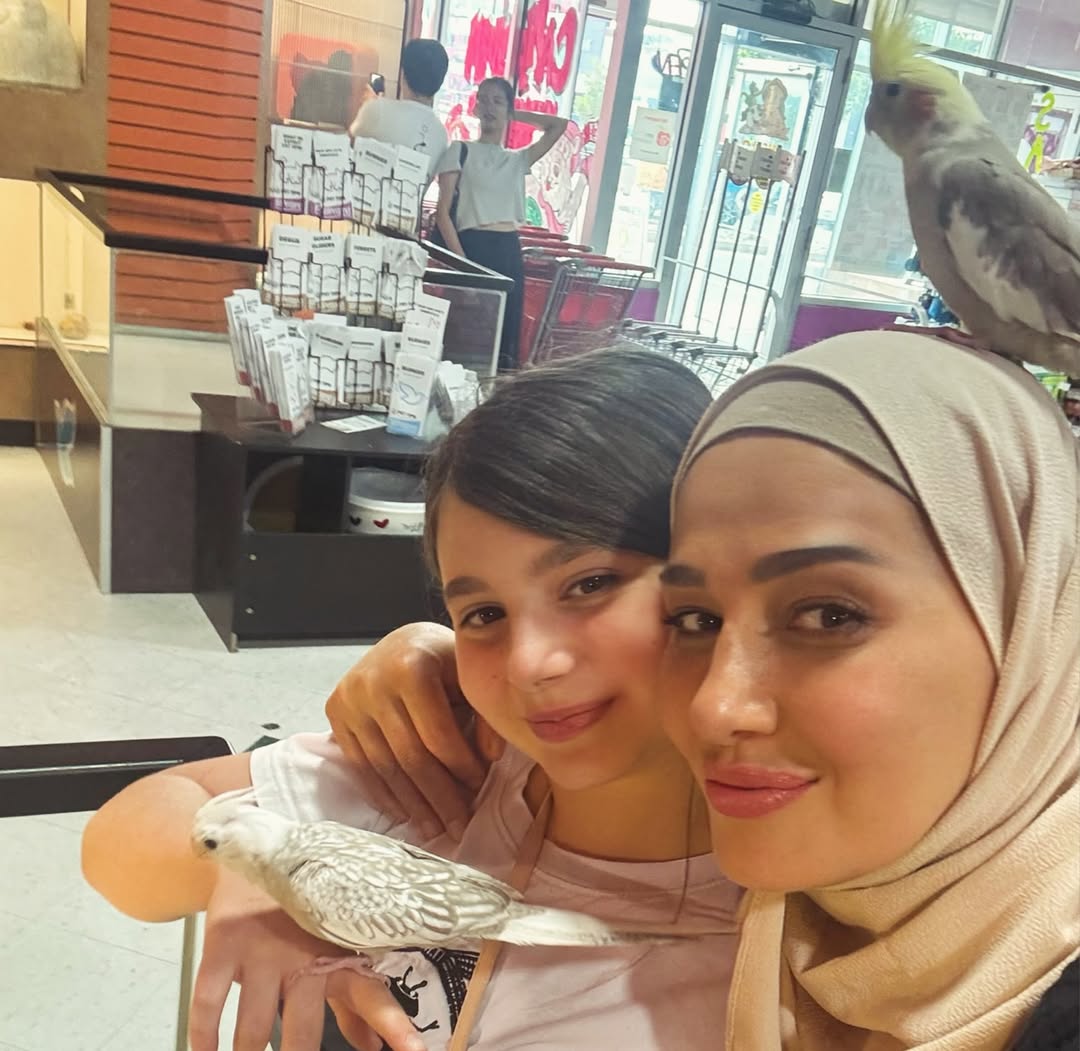 شعبية واسعة لحلا شيحة على يوتيوب