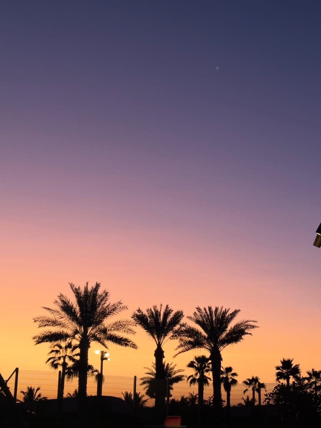 جورجينا رودريغيز