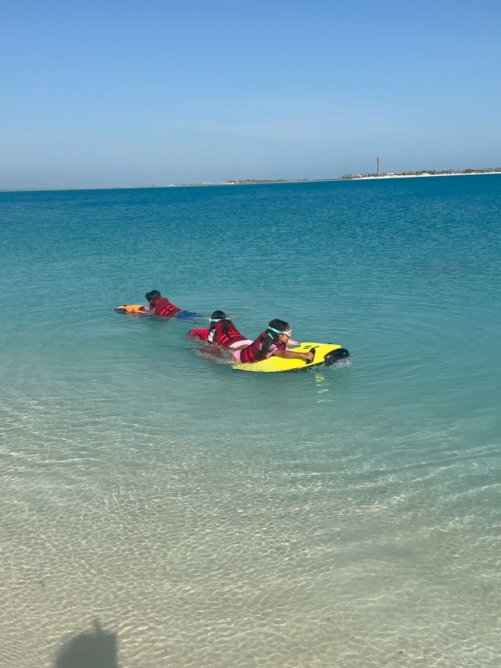 معلومات عن وجهة البحر الأحمر