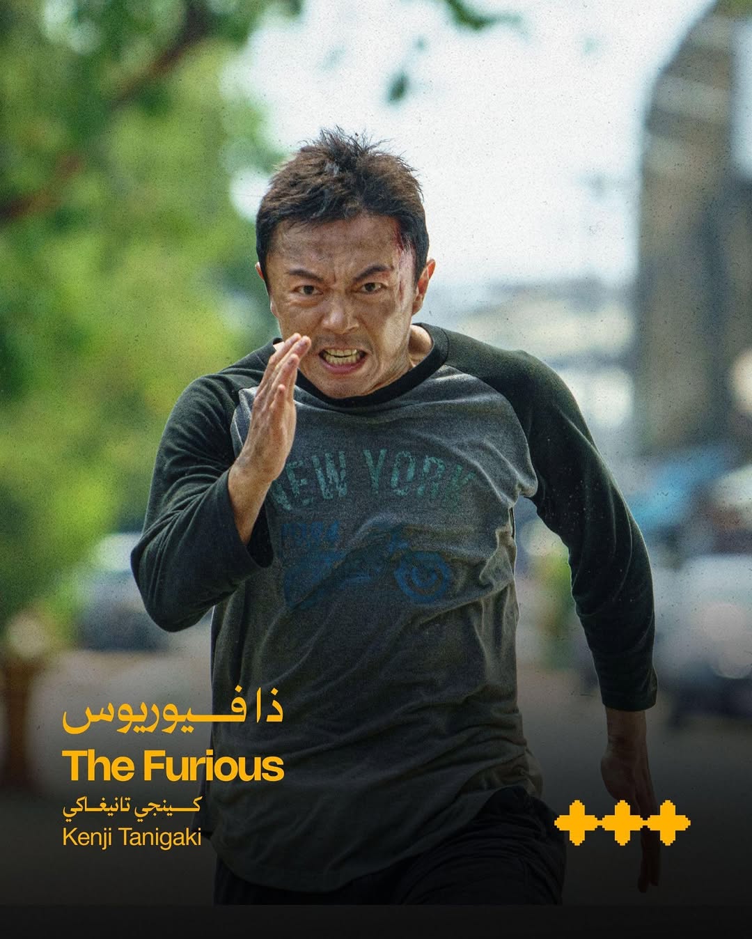 THE FURIOUS