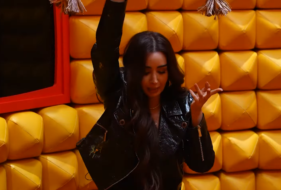 هنا الزاهد في المقلب