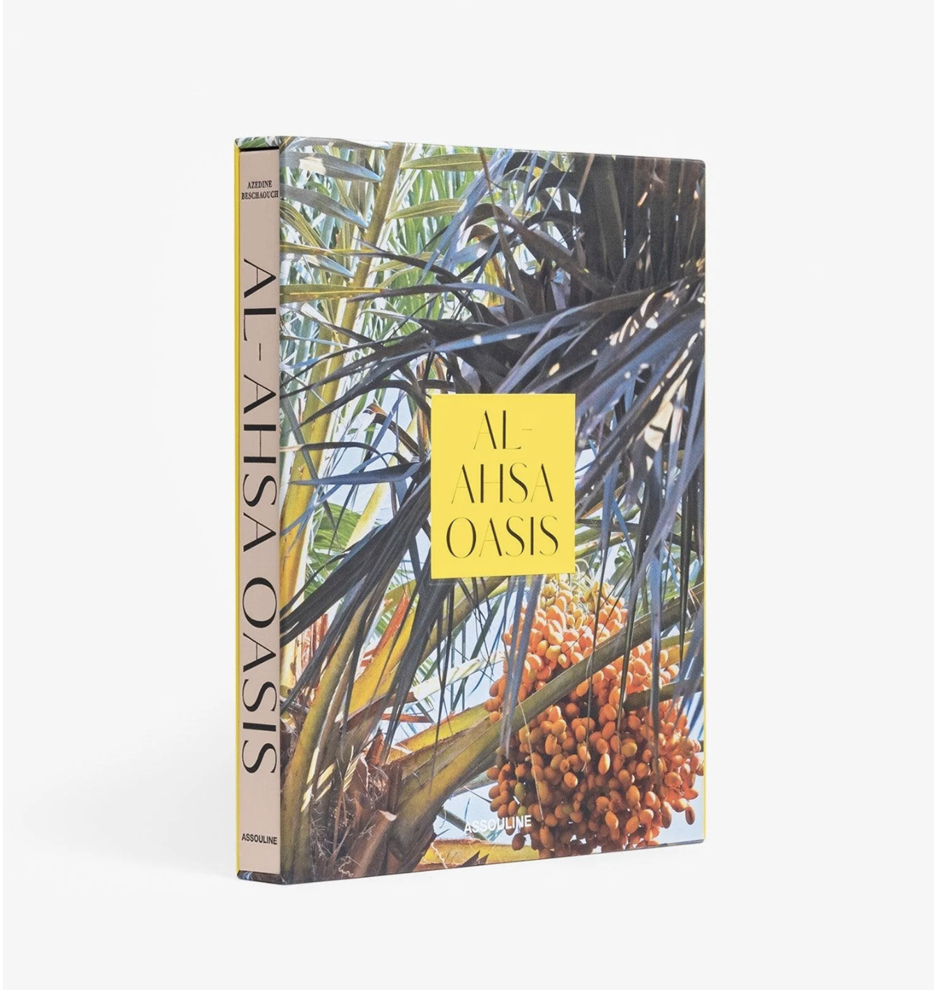 كتب عن الأحساء 