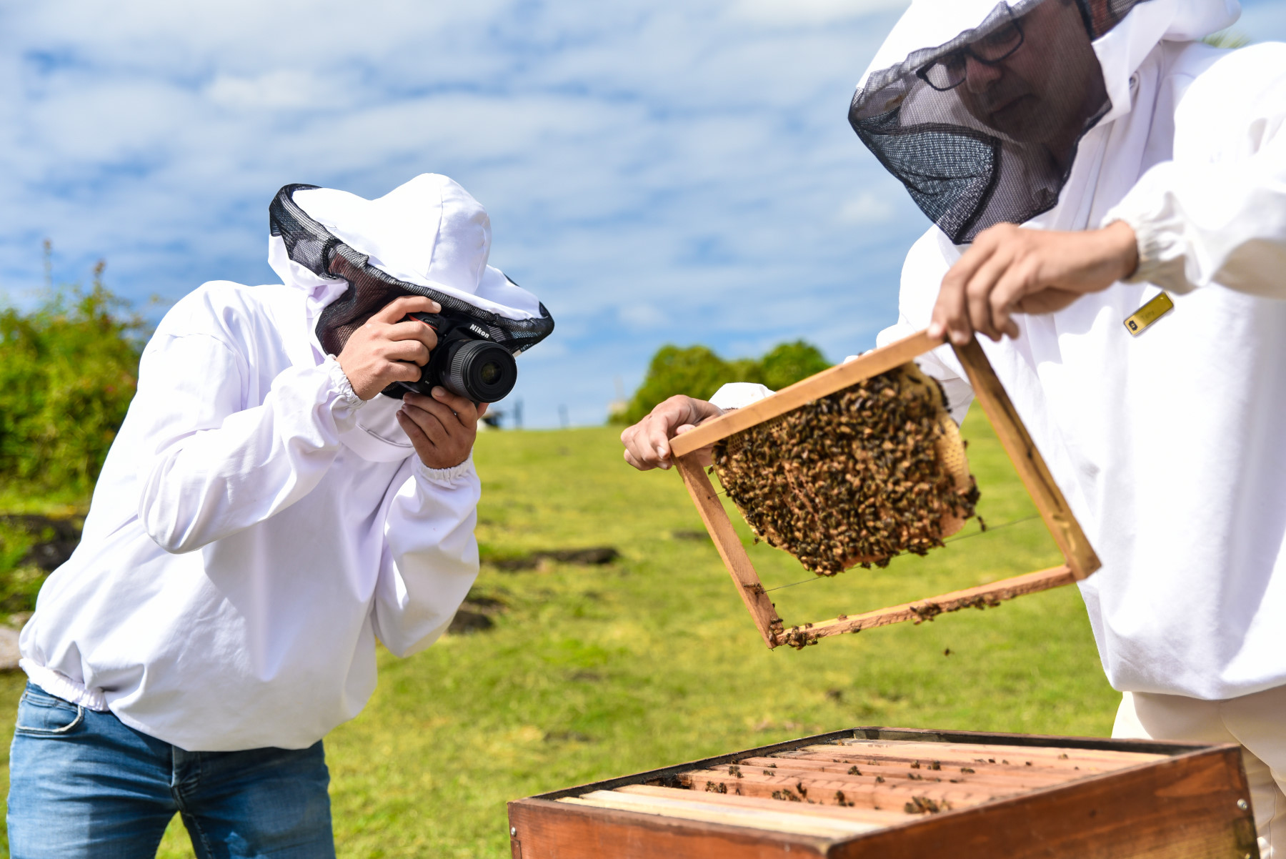 من تجربة فاخرة إلى إرث بيئي: شانغريلا لو تويسروك يتحوّل إلى أكبر محمية نحل فندقية في موريشيوس