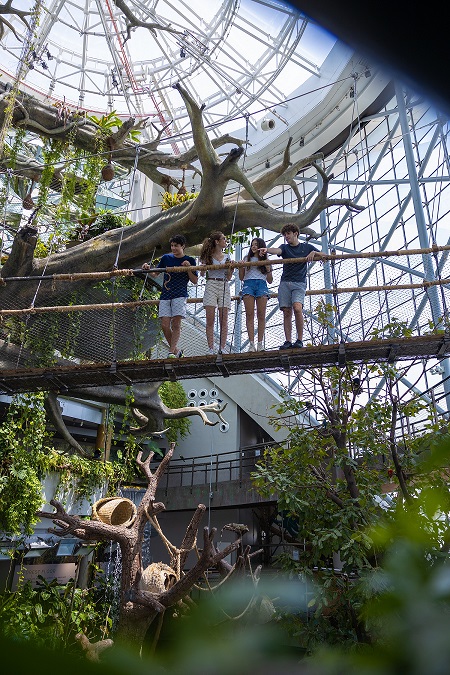 مغامرة استكشافية داخل الغابة المطيرة في ذا جرين بلانيت™ خلال عطلة عيد الاتحاد.