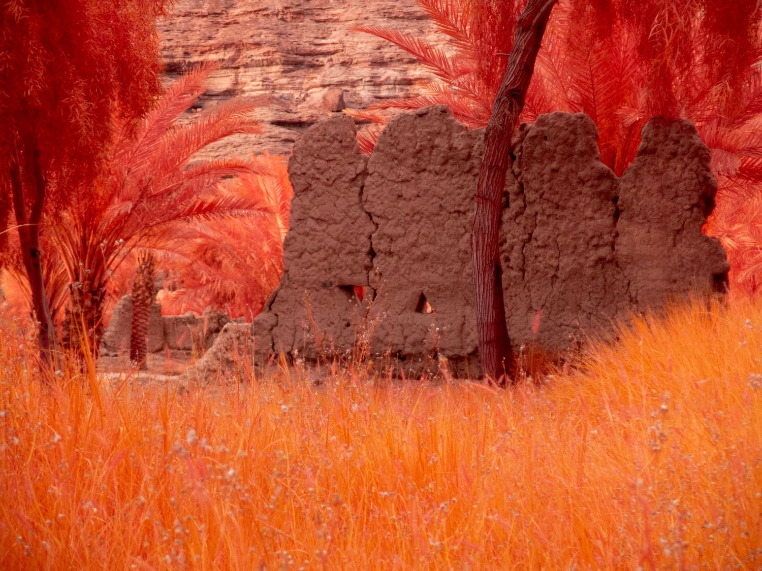 The Holy Wadi, Arduna, 2025 الفنان أيمن زيداني