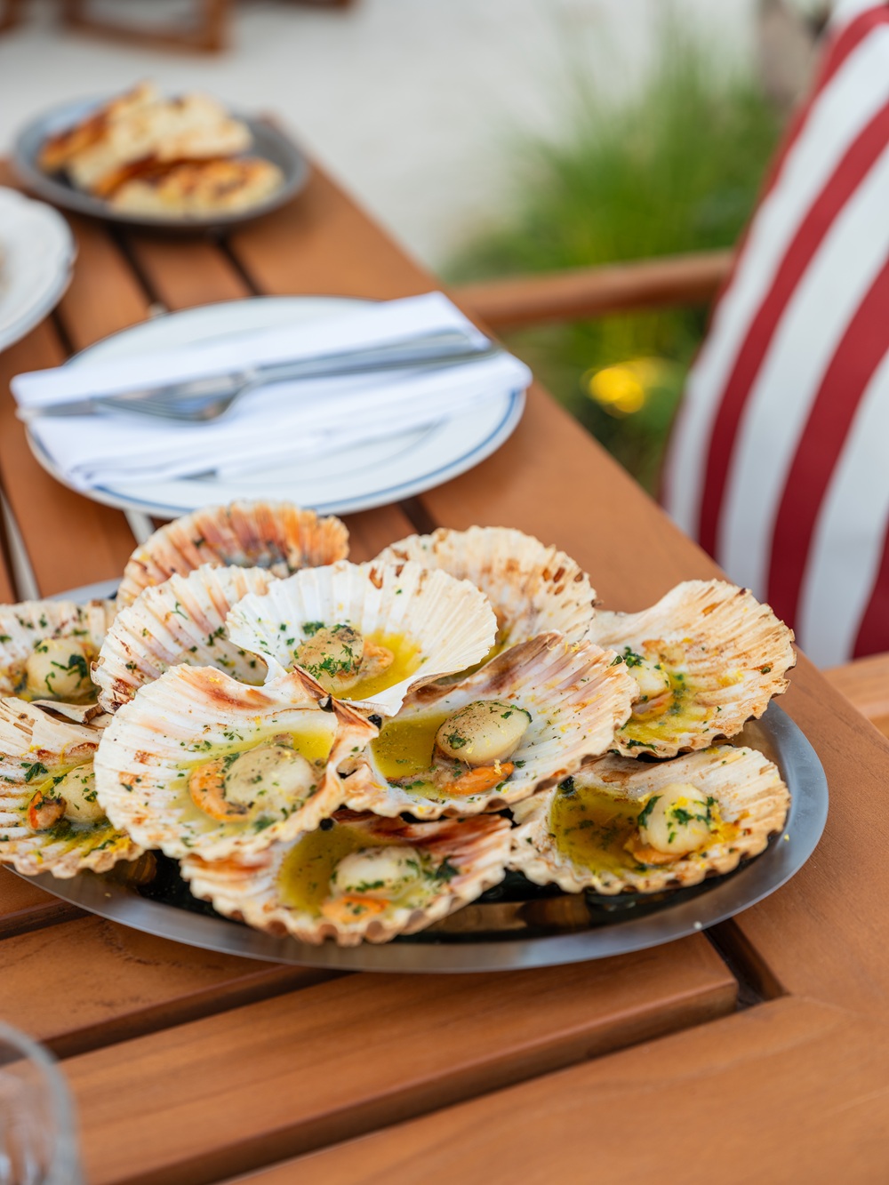 افتتاحات وتجارب جديدة ترسم ملامح شتاء استثنائي