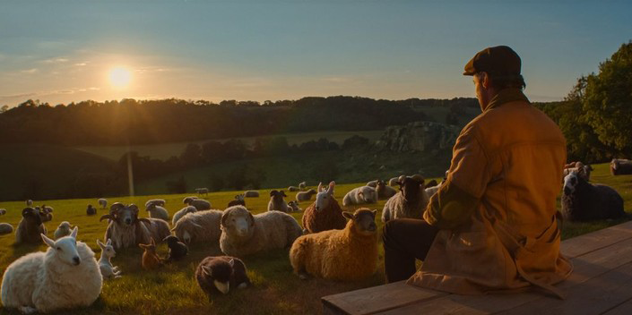 لغز بوليسي في فيلم The Sheep Detectives 
