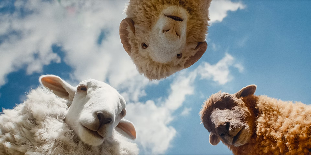 لغز بوليسي في فيلم The Sheep Detectives 