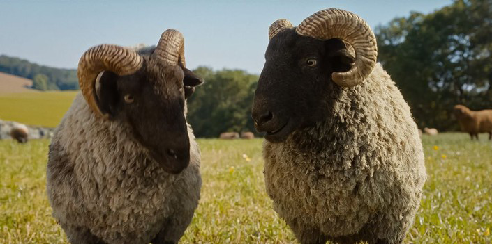 عالم الخراف في The Sheep Detectives