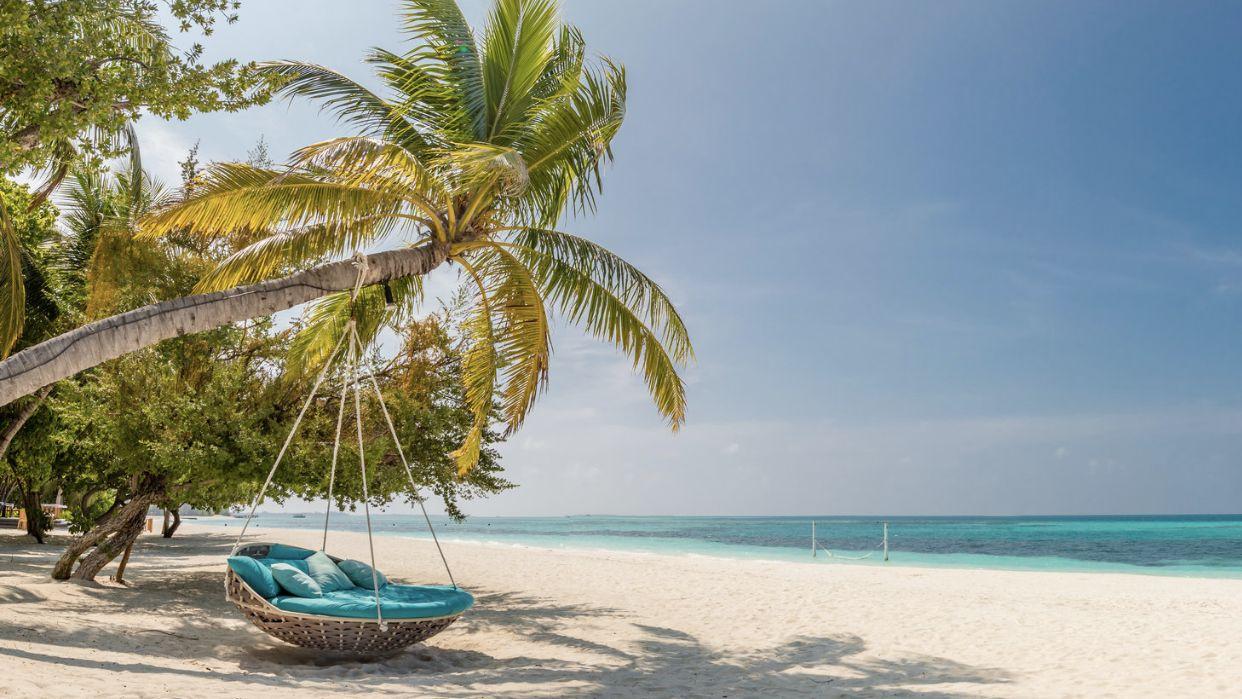 أفضل رحلات اليوم الواحد من نيس في أجازة شهر العسل