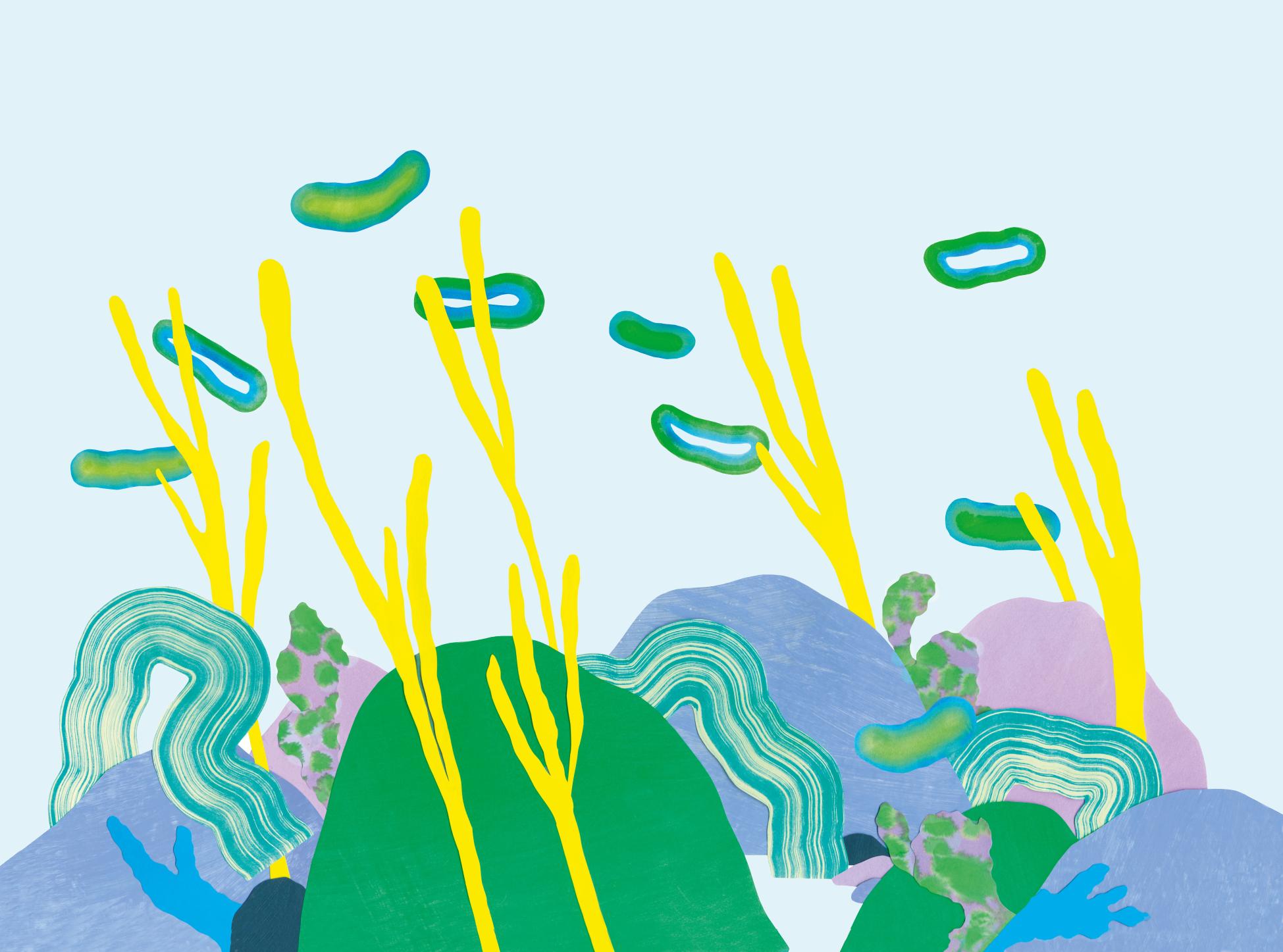 عطر Un Jardin sous la Mer من Hermès
