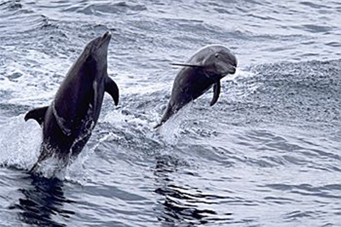 سلطنة عُمان: وجهتك لعطلة لا تُنسى