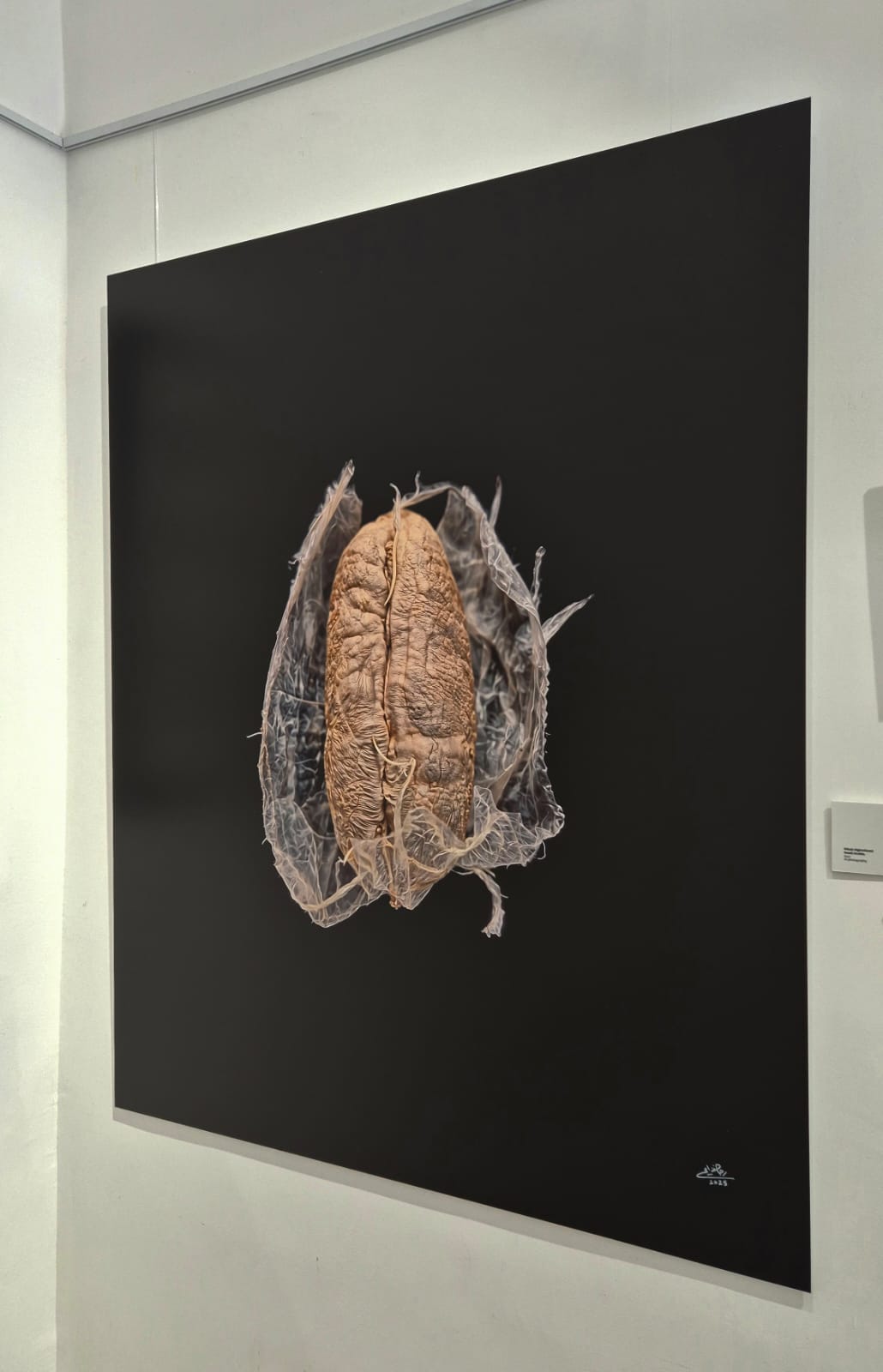 رحاب الغذامي