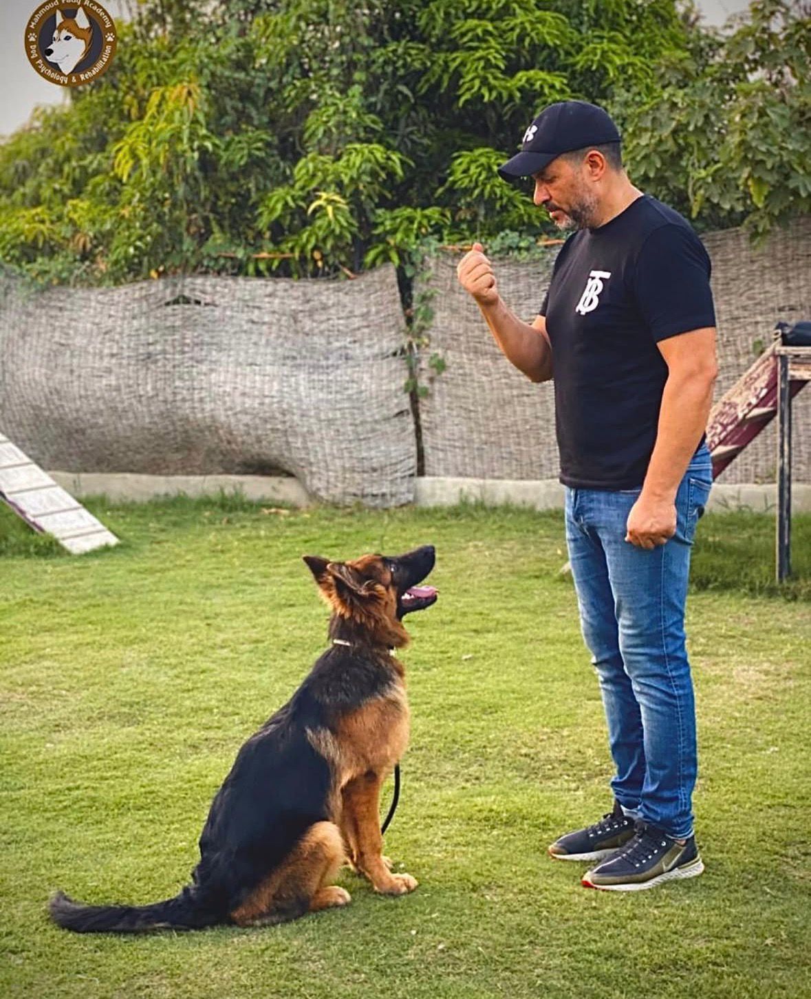 ماجد المصري