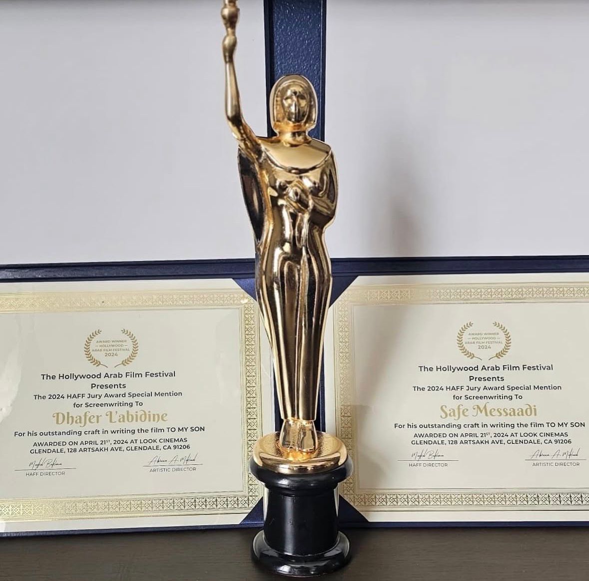 جوائز حصل عليها ظافر العابدين