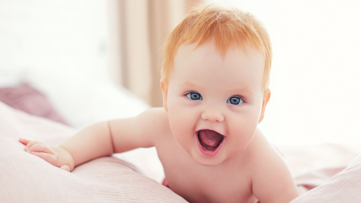 أسماء أولاد مستوحاة من الحيوانات القوية والشجاعة