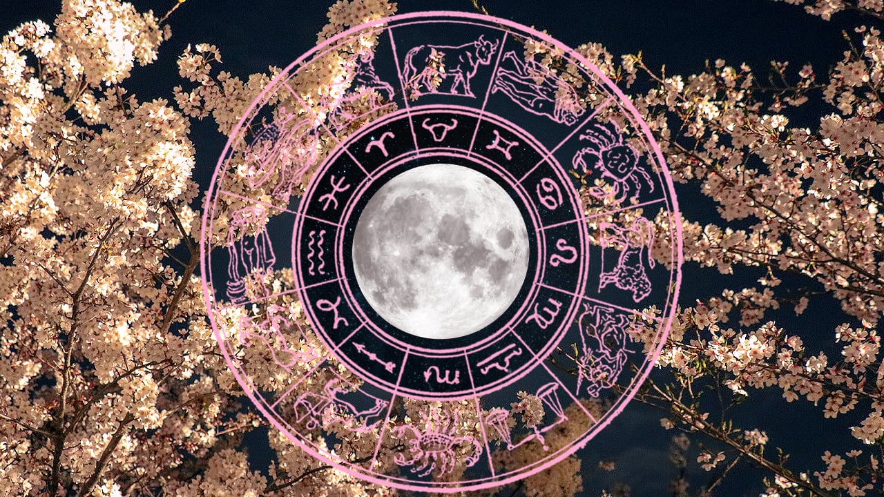 دليلك الفلكي اليوم