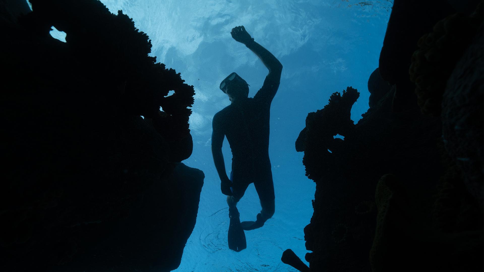 متعة الغوص في شواطئ البحر الأحمر