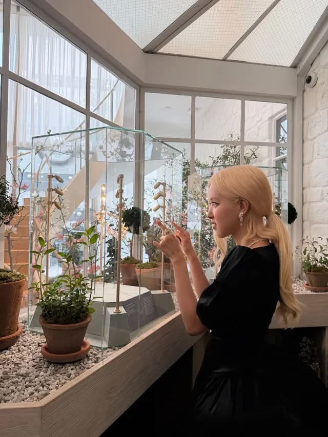فنانة بحجم وموهبة روزيه Rosé