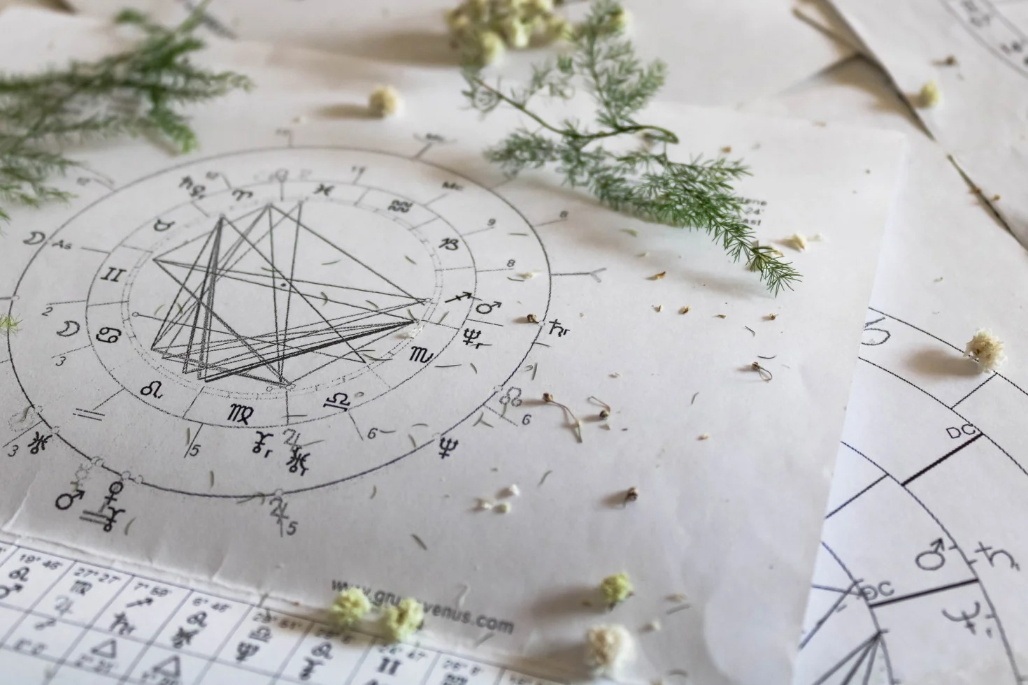 دليلك الفلكي اليوم