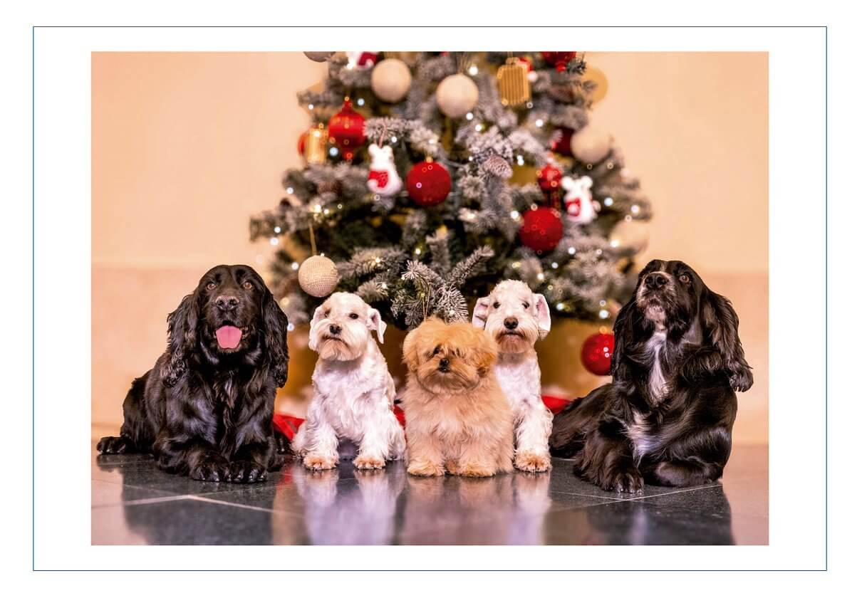 إسبانيا ليتيزيا وفيليب.. في صورة رمزية معبرة