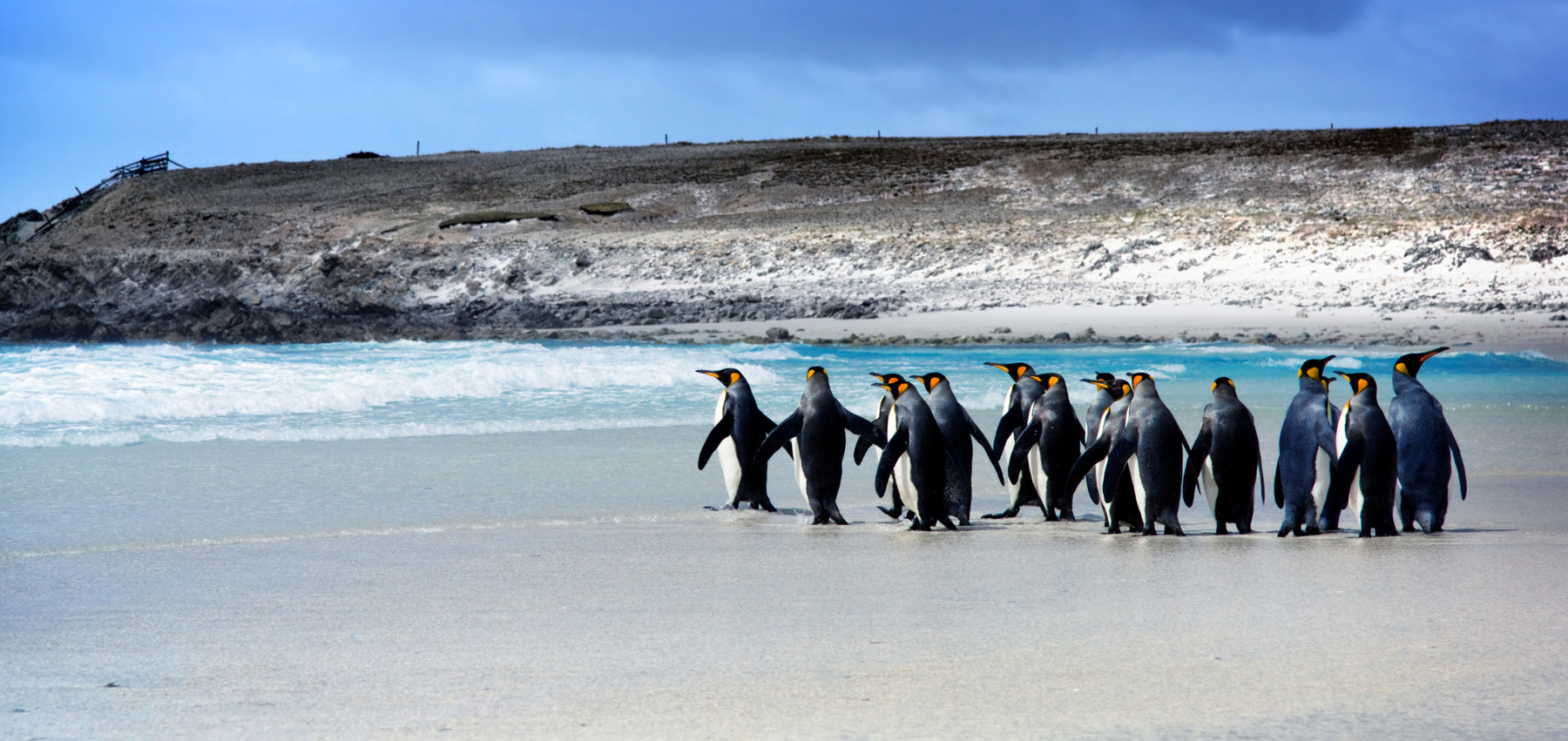 تقع جزر فوكلاند على حافة أمريكا الجنوبية