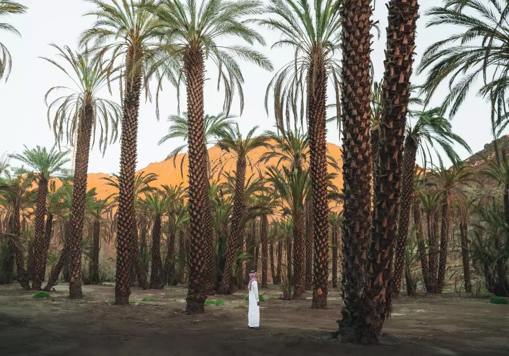 سياحة فاخرة ومستدامة