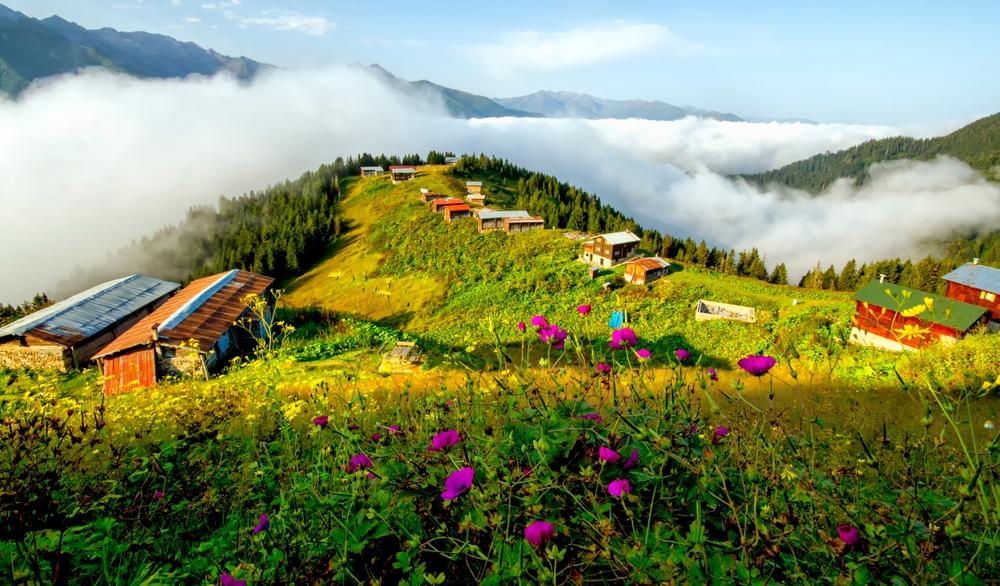 هضبة آيدر Ayder Yaylası