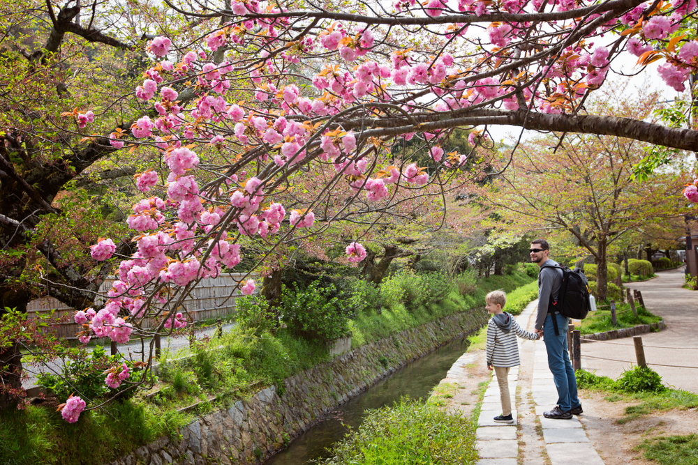 طريق الفيلسوف