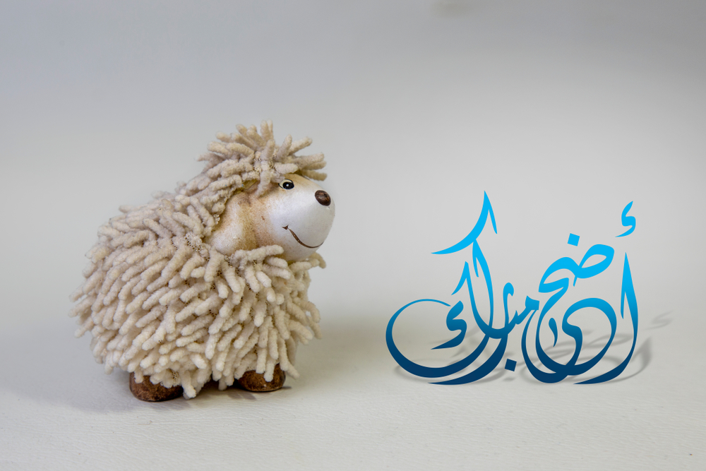 رسائل تهنئة رسمية لعيد الأضحى: عبارات راقية ومكتوبة