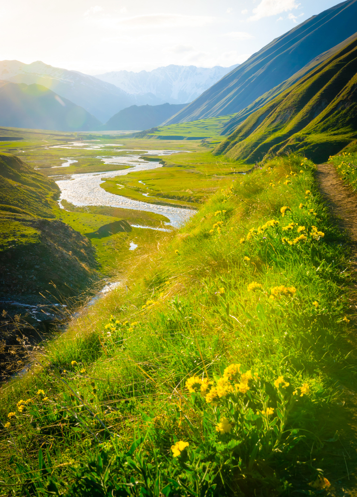 وادي "داشباشي