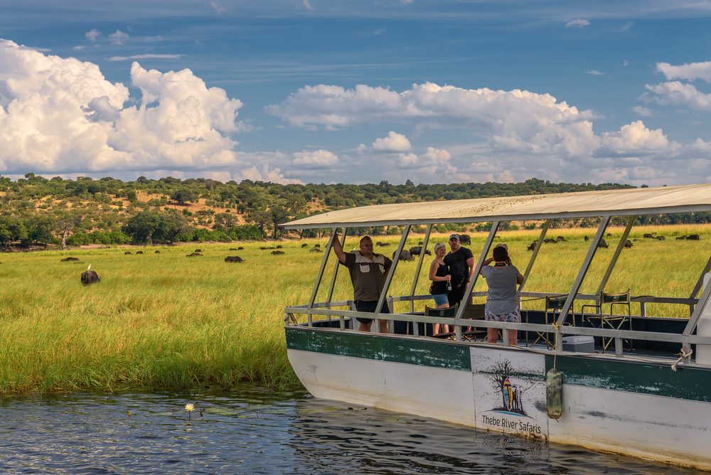 تجارب السفاري الفاخرة في بوتسوانا