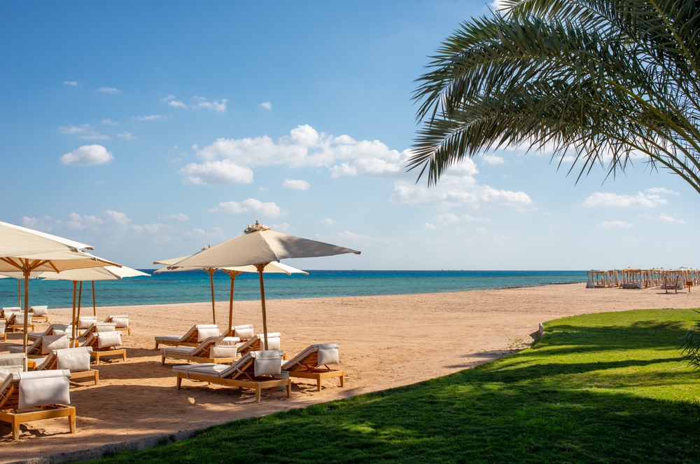 جزيرة الفردوس Paradise island