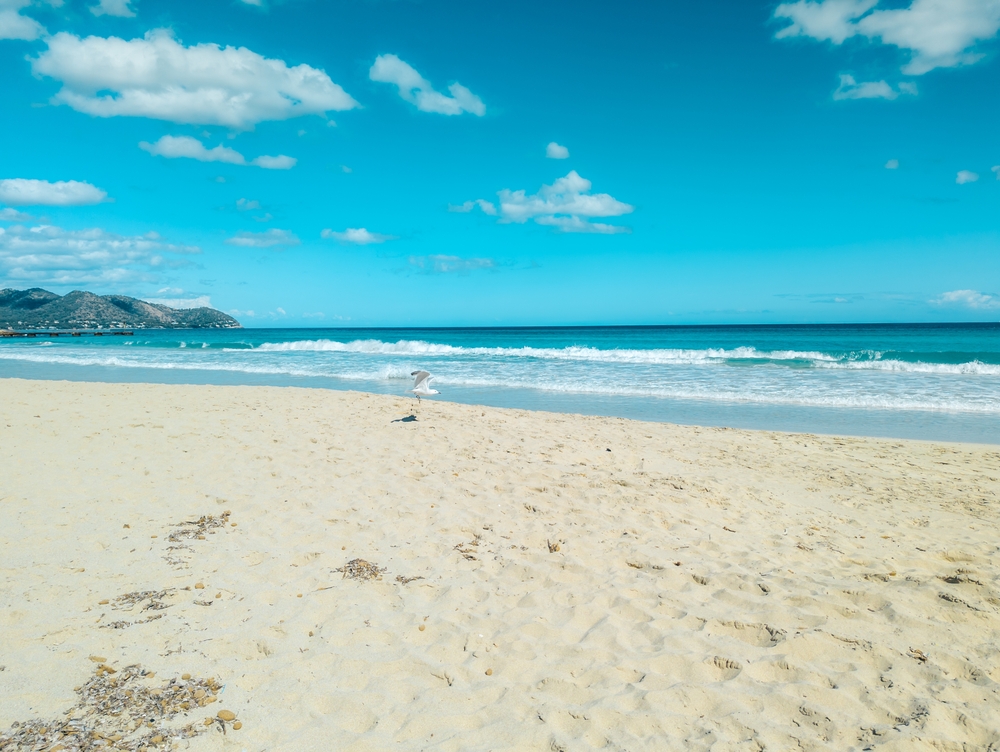 كالا ميلّور