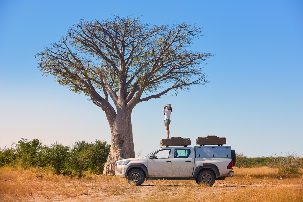 أهم الوجهات السياحية في بوتسوانا