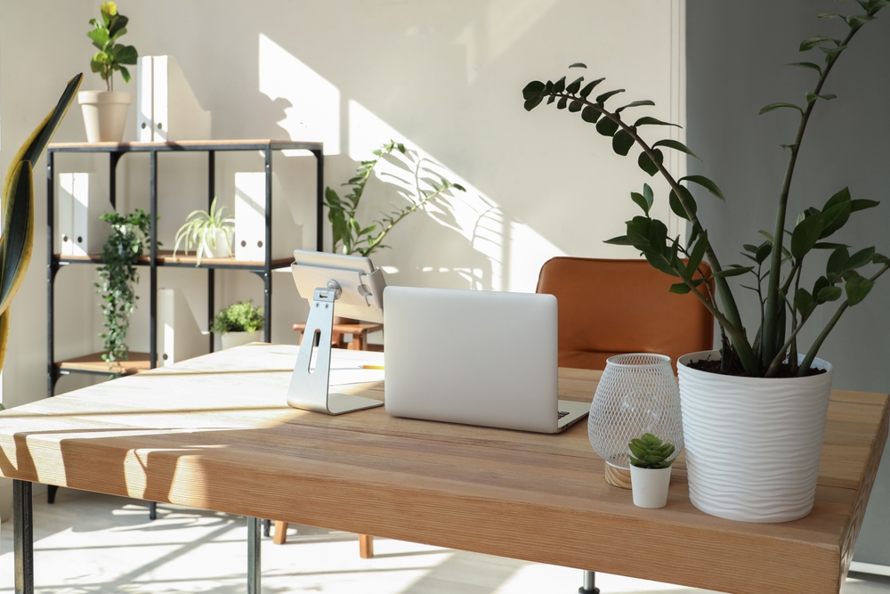 مزايا الإضاءة الطبيعية في مكان العمل