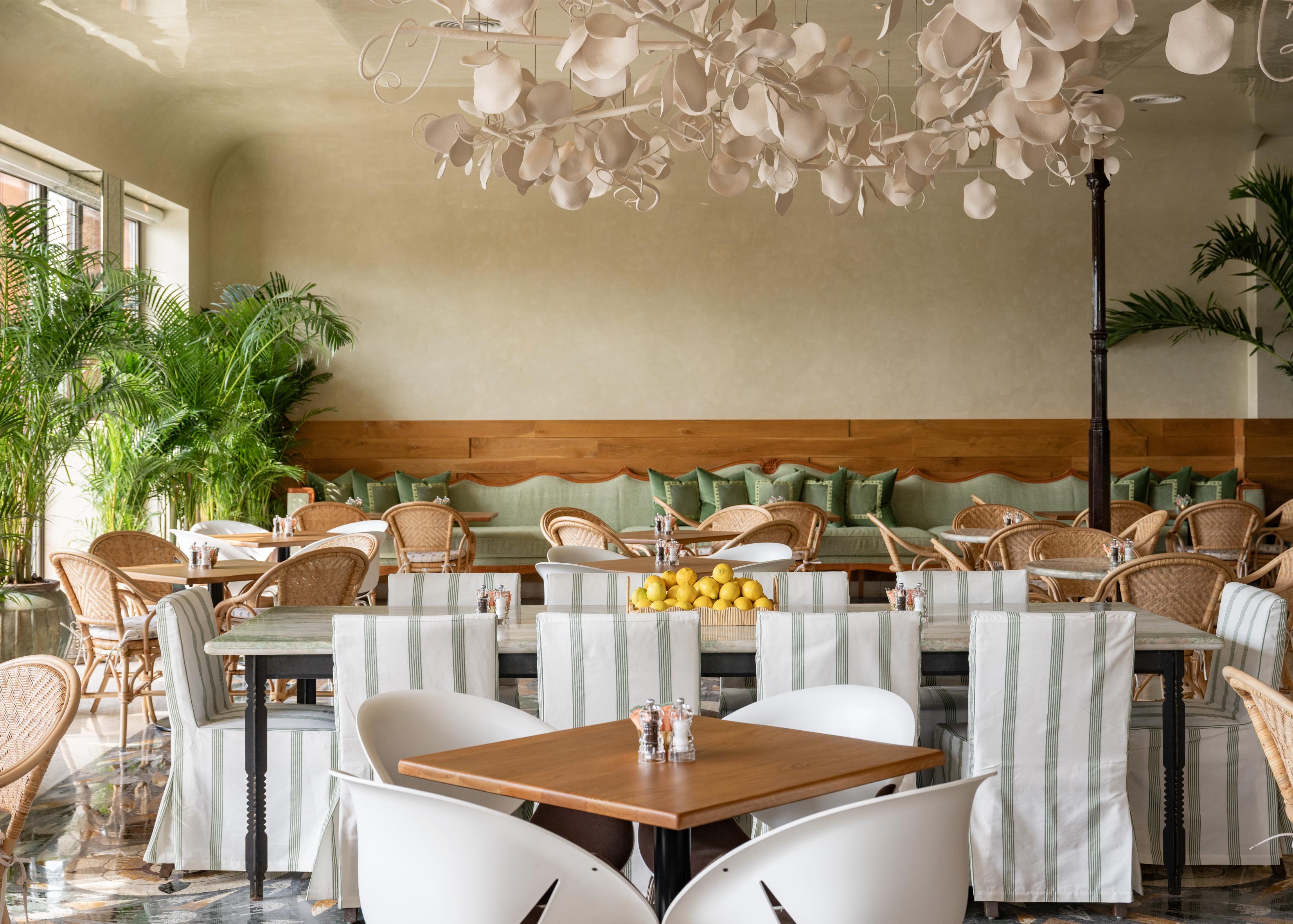 tashas