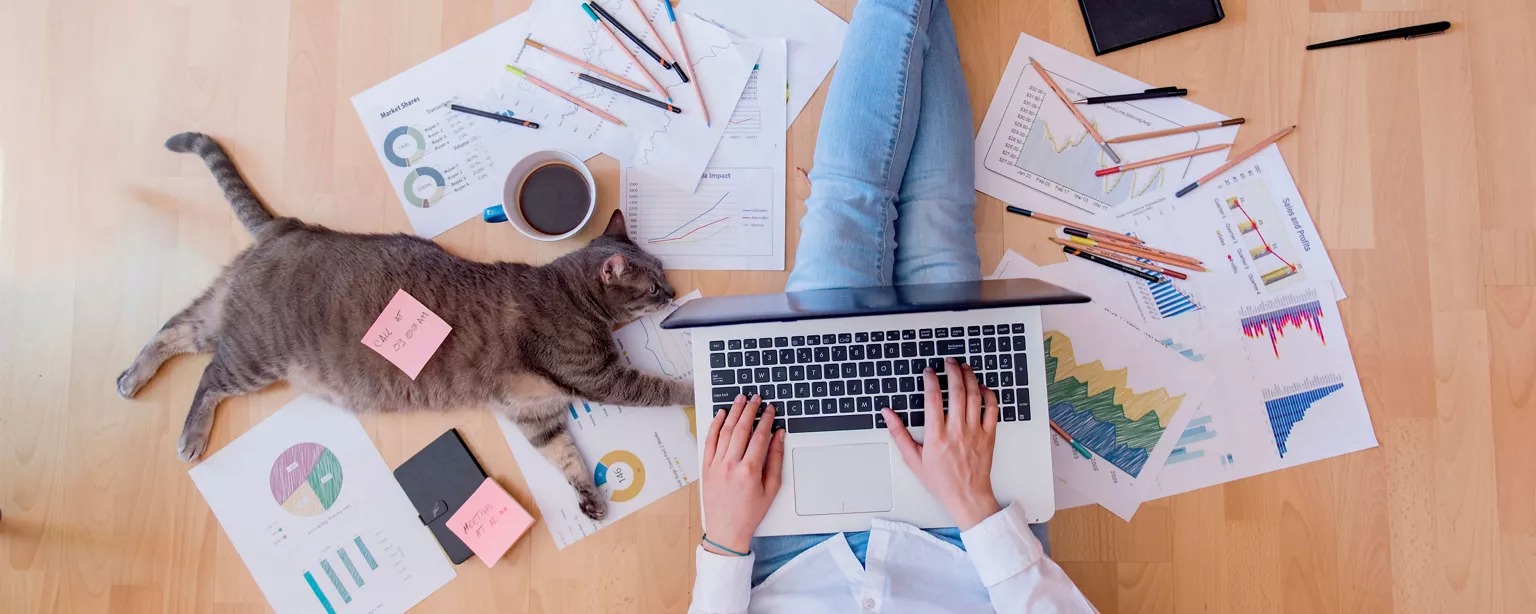 8  أفكار حول كيفية العمل من المنزل