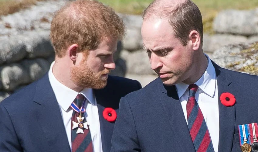 توقعات بتصاعد الخلاف بين الأمير ويليام والأمير هاري خلال عام 2026